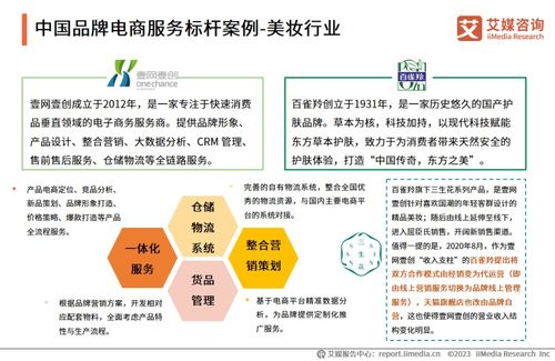 2023年中國品牌電商服務行業(yè)深度解析 艾媒咨詢報告中的信息咨詢服務洞察